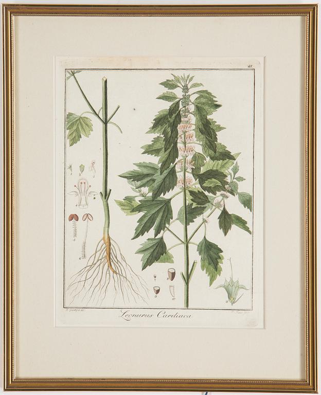 Four 18th century hand coloured engravings.
