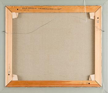 Anja Santala, "Tavaraonnelliset".