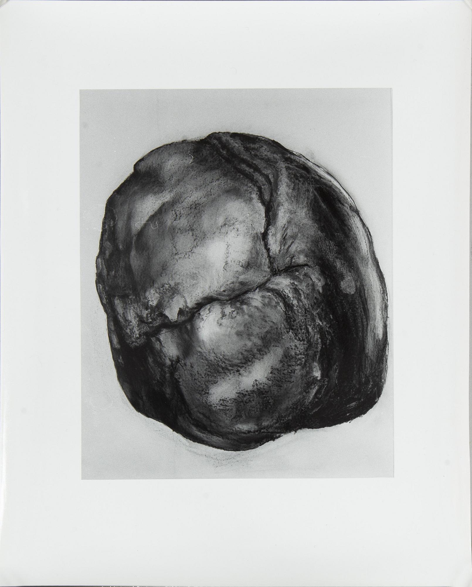 Photograph, 16 pcs, unknown artist.