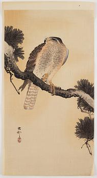KOSON OHARA (1877-1945), two coloured woodblock prints, Japan, 20th century.