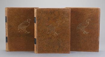 SVENSKA FÅGLAR, 3 volymer, M,W och F. von Wright, Stockholm 1924-29.