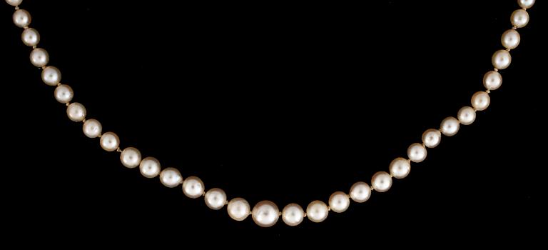 PÄRLCOLLIER, odlade pärlor, lås 18 k guld.