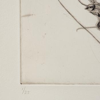 Linn Fernström, Flicka med fåglar.