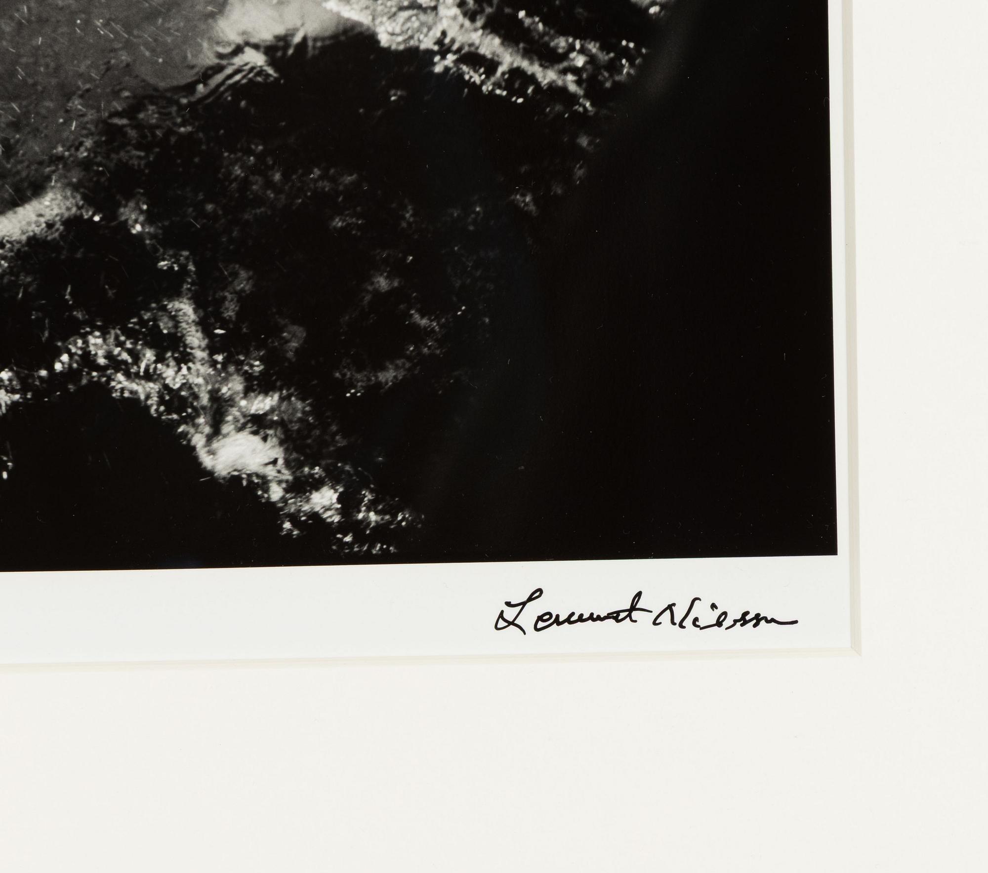 Lennart Nilsson,  "Isbjörnsjakt vid Hvitøya (Vitön), Svalbard, Norge 1947".