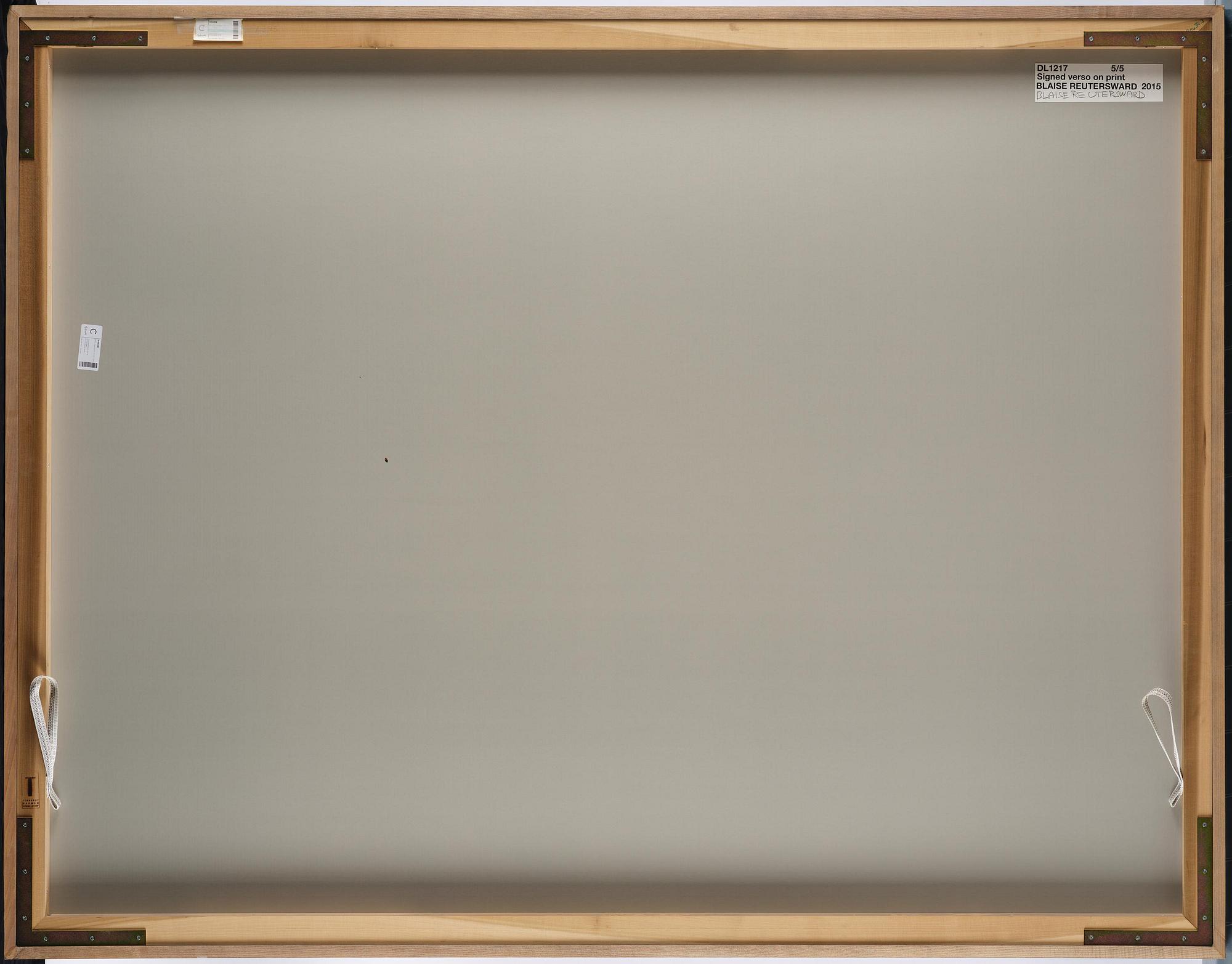 Blaise Reutersward, "DL1217", 2015.