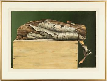 Philip von Schantz, Birch.