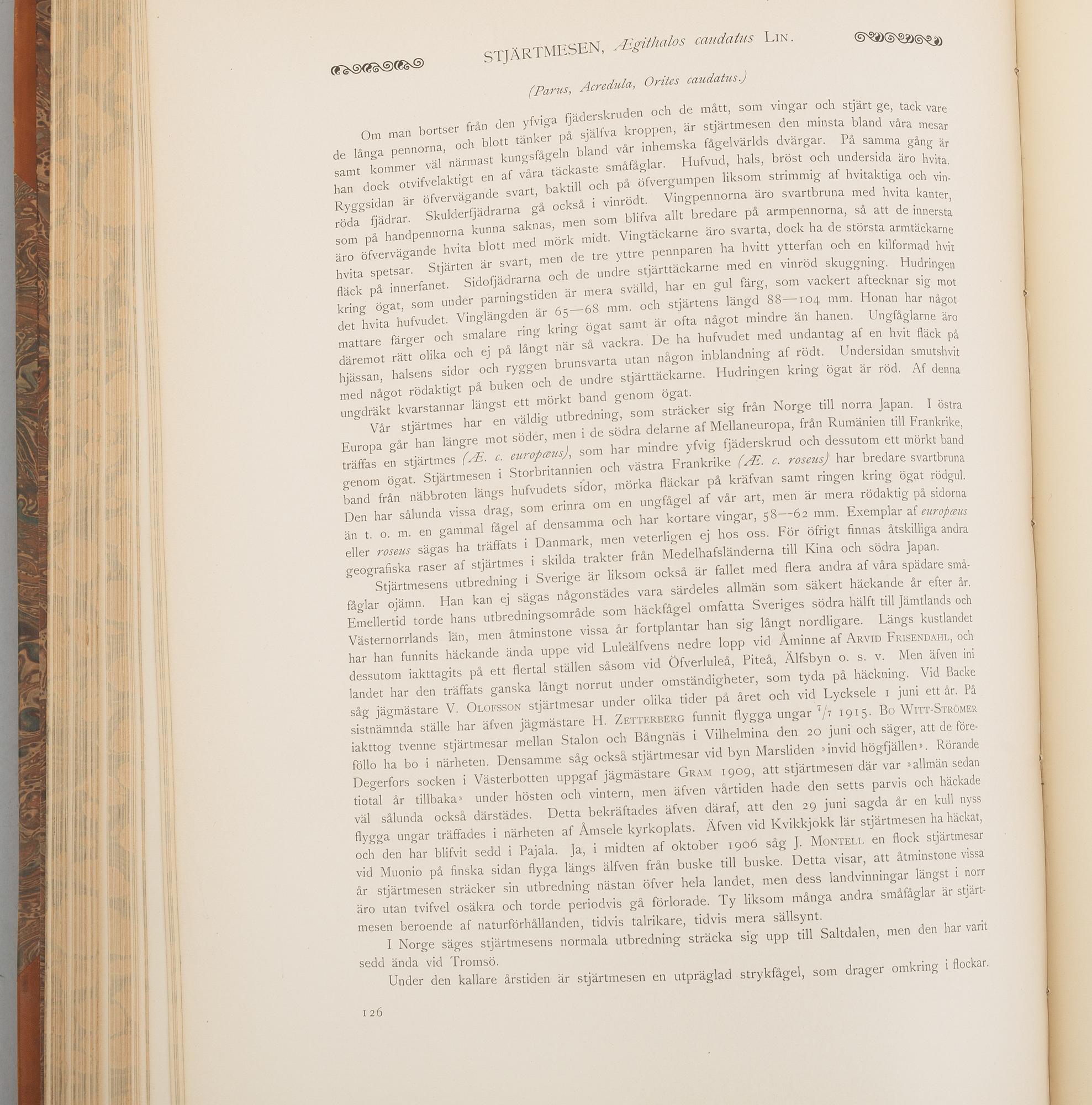 Bröderna von Wright, books 3 vol "Svenska fåglar", A. Börtzells tryckeri AB, Stockholm 1924-29.