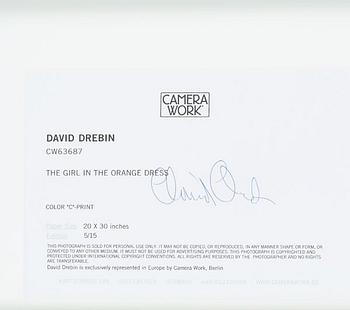 David Drebin, "Girl in the Orange Dress", 2009.