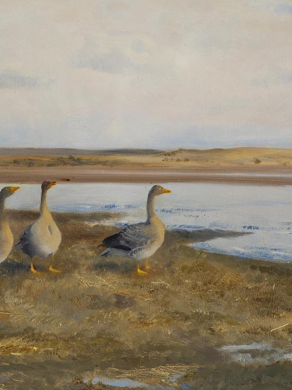 Bruno Liljefors, Landscape with geese.