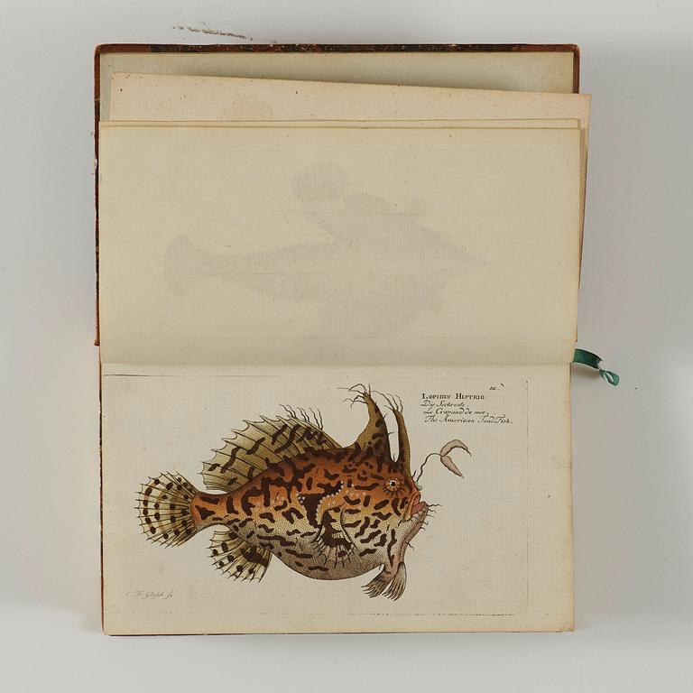 MARC ÉLIÉSER BLOCH (1723-1799), 6 vol, Ichthyologie ou Histoire Naturelle des Poissons, Berlin 1796.