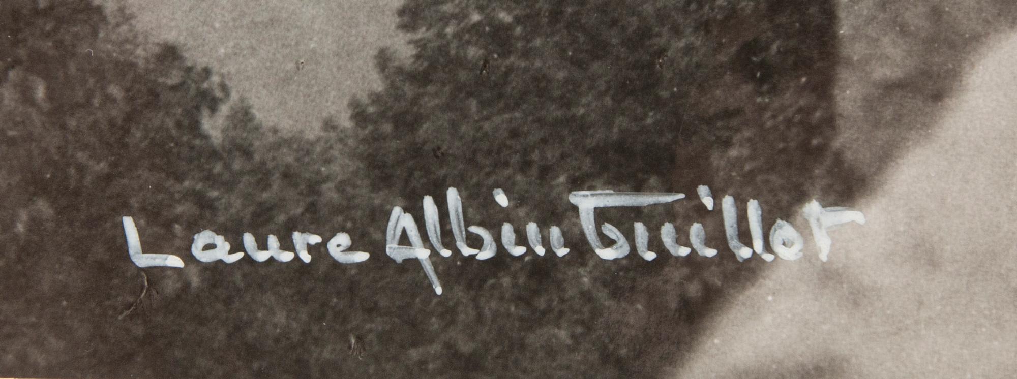 Laure Albin Guillot, "The Waterfall, Niagara Falls".