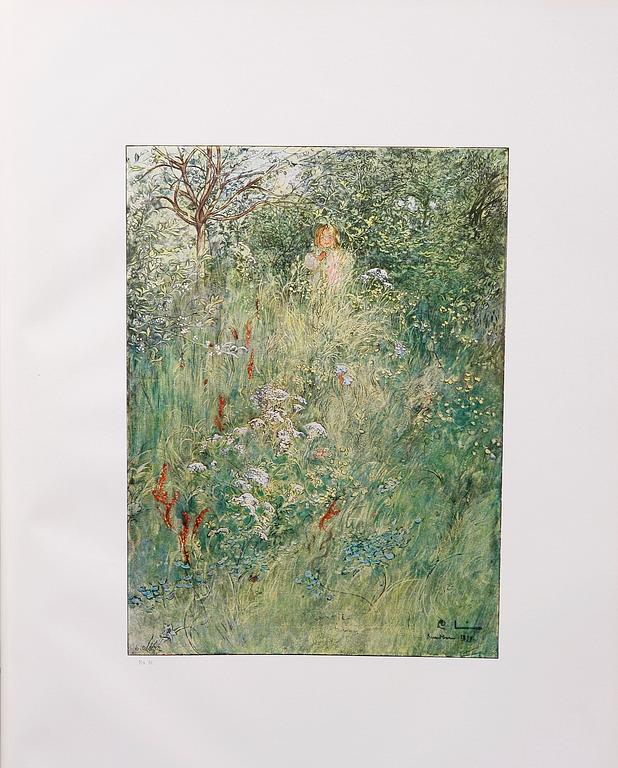 BÖCKER, 2 st: Carl Larsson, Albert Bonniers förlag 1910 resp 1913.