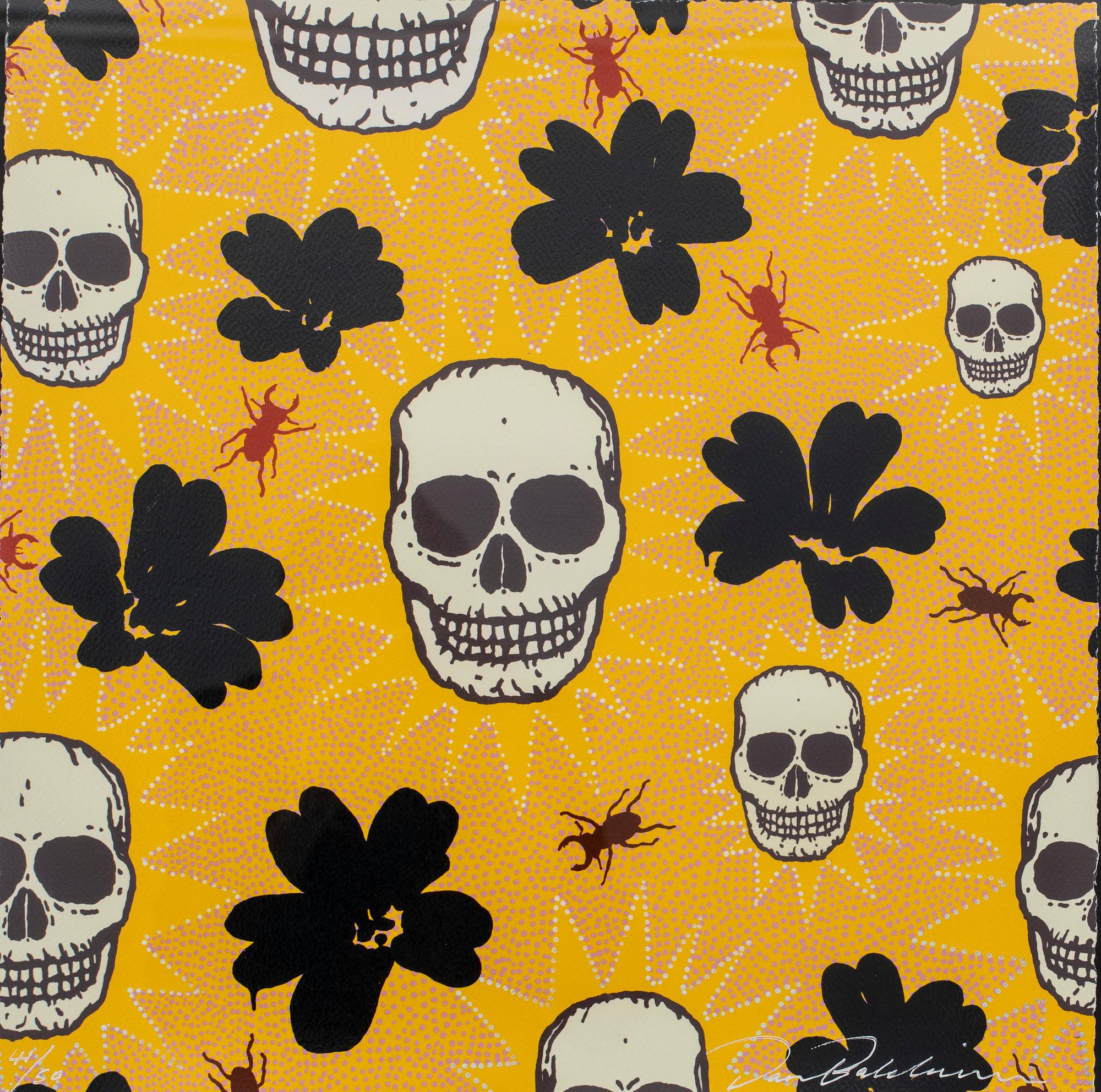 Dan Baldwin, utan titel.