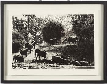 Håkan Ludwigson, "Zambesi" 1998.