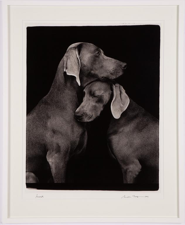 William Wegman, "Friends".