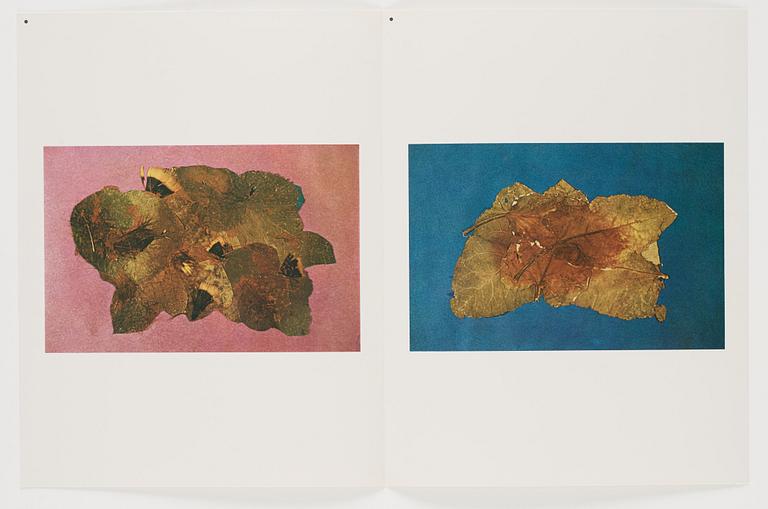 Josef Albers, "Interaction of color".