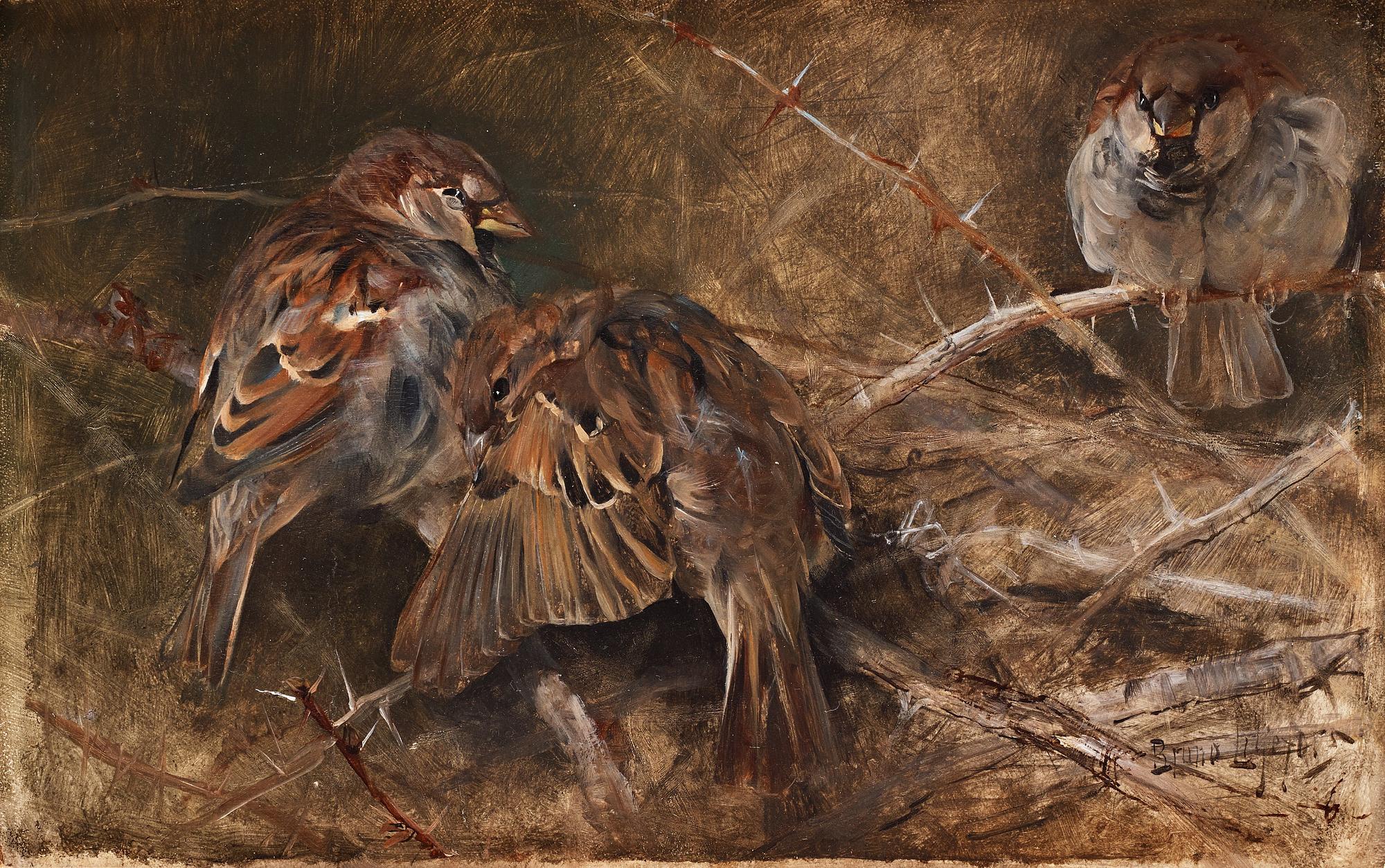 Bruno Liljefors, "Gråsparvar bland törnen".