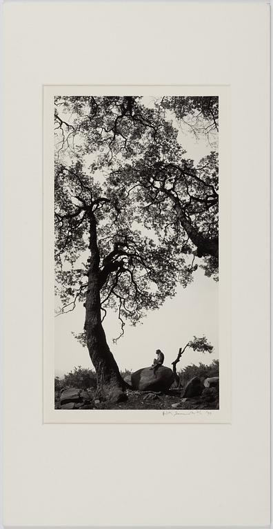 Pentti Sammallahti, "Swayambhunath, Nepal, 1994".