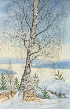 Per Julius. Our/spring birch.