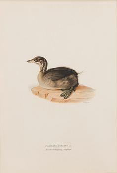 LITHOGRAPHS, 5 pcs, after Wilhelm von Wright and Bror Hallberg. A. Börtzell, Stockholm.