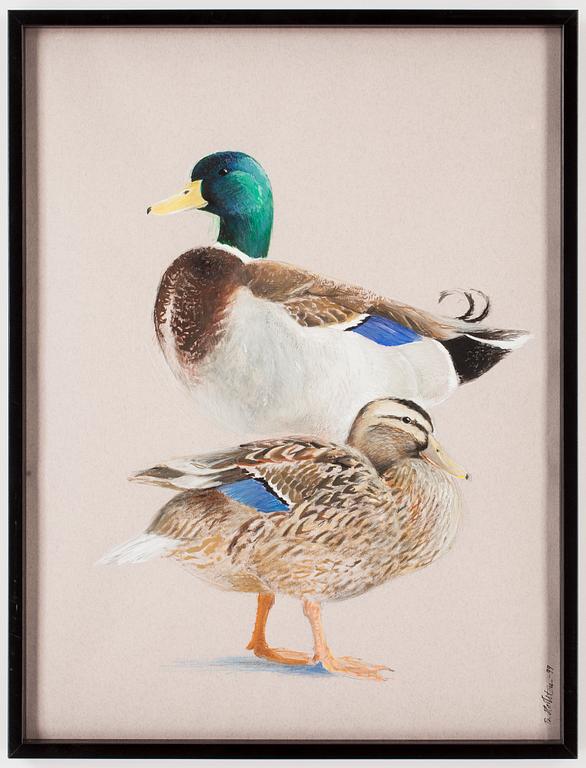 BILLY HELLSTEN, blandteknik, signerad, daterad -99.