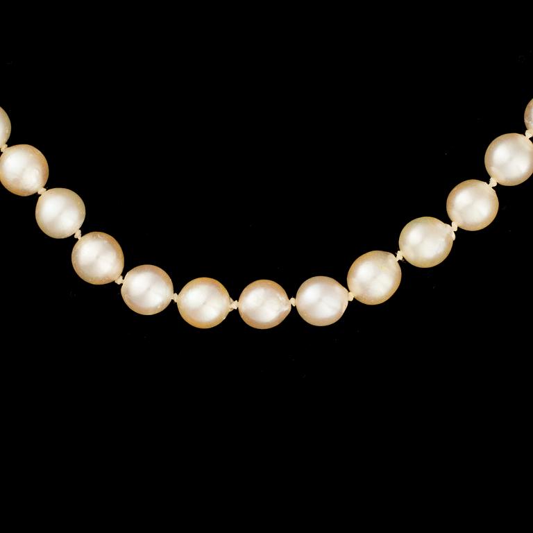 PÄRLCOLLIER, lås 18K guld.