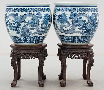 A pair of large blue and white fish basins/flower pots, late Qing dynasty, circa 1900.