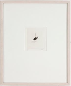 ULLA FRIES, Etching, signed 78/90.