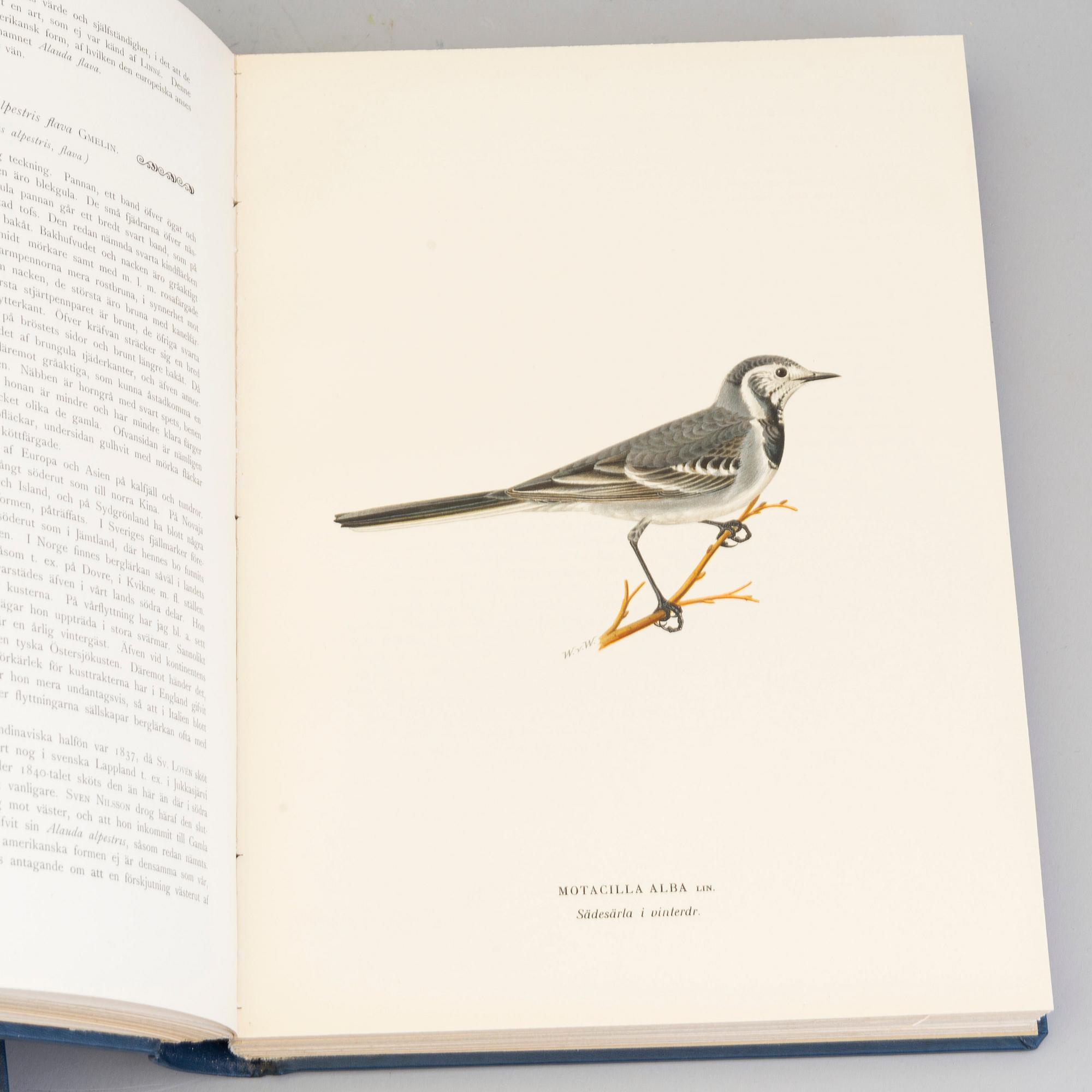 M, W & F VON WRIGHT, bokverk, 3 band, "Svenska fåglar", A. Börtzells tryckeri AB Stockholm, 1924-1929.
