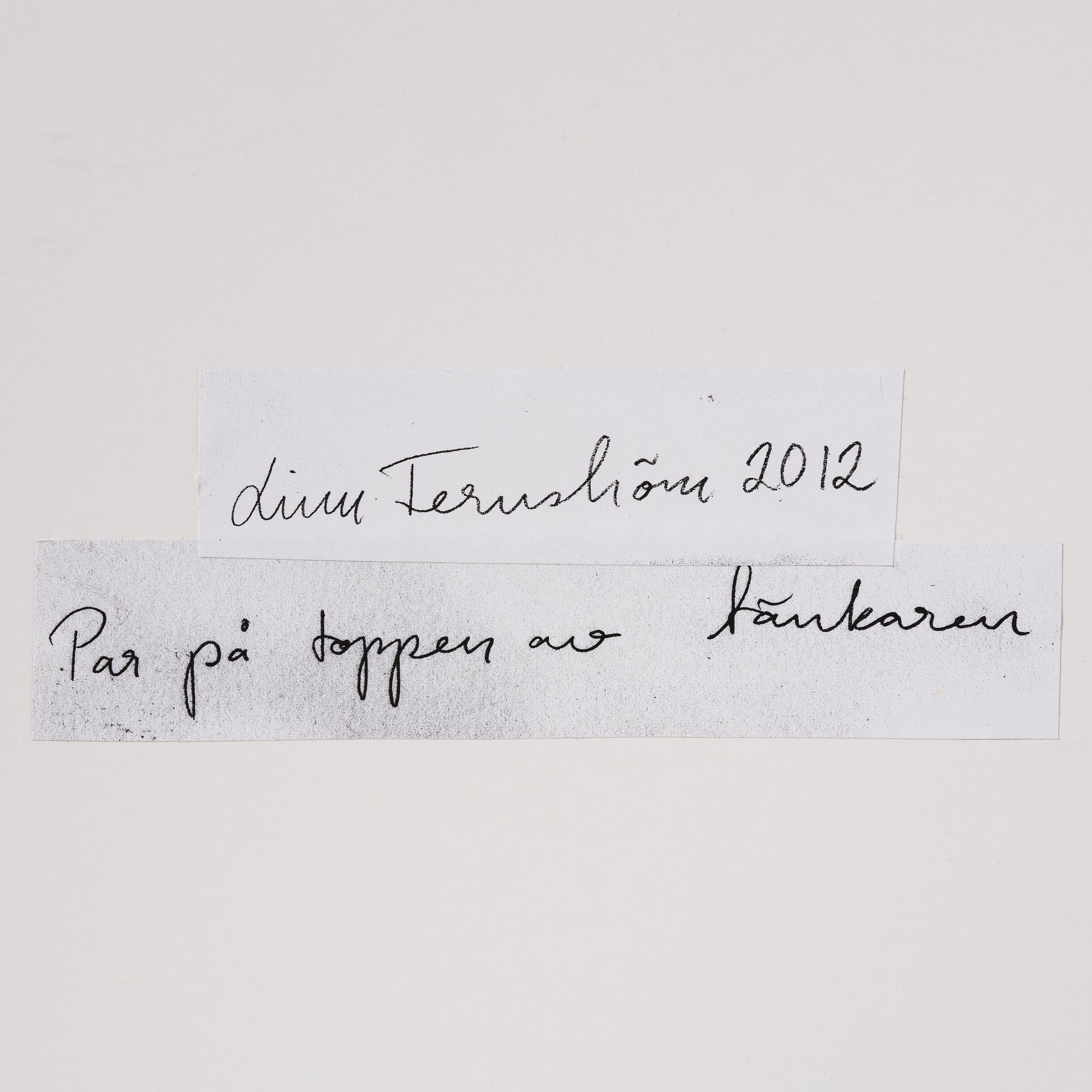 Linn Fernström, "Par på toppen av tänkaren".