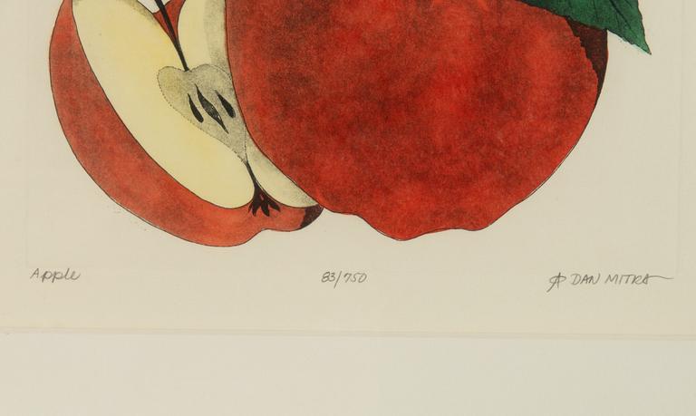 Dan Mitra, a suite of six etchings, framed together.