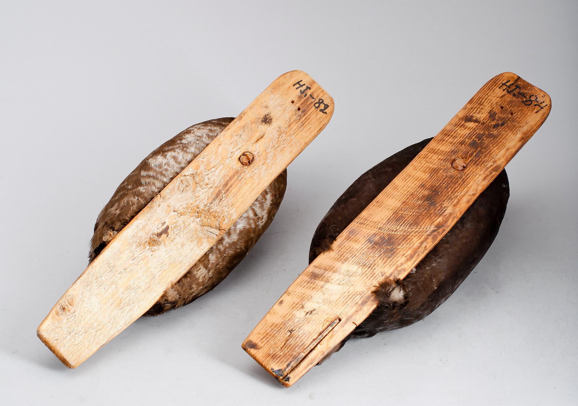 VETTAR, 2 st, 1900-talets andra hälft.