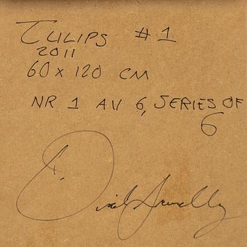 DANIEL SANDBERG, C-print, signerad och numrerad nr 1 av 6 a tergo.