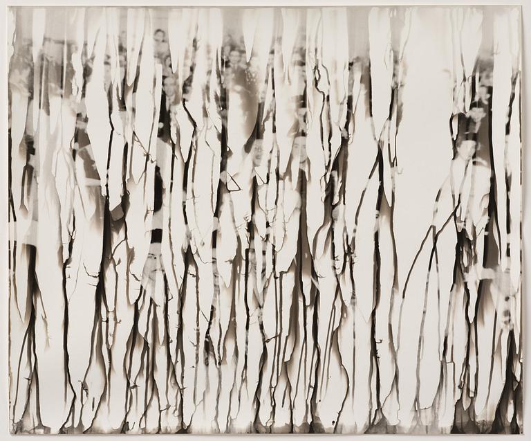 Iñaki Bonillas, "The Rain Came Last", 2013.