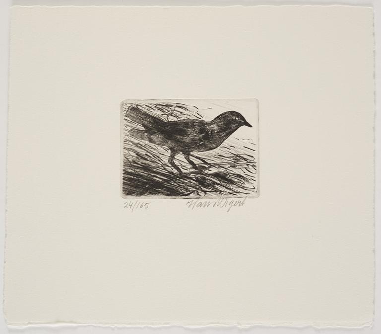 Hans Wigert, Bird.