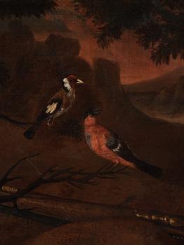 Dutch Shoool, 17/18Th Century, Hunting still life.