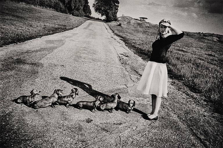 Anders Petersen, "Gärdet", 2016.