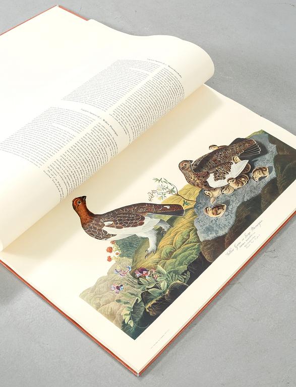 The book "The Birds of America", volume II, by John James Audubon, numbered 178/500, 1973.