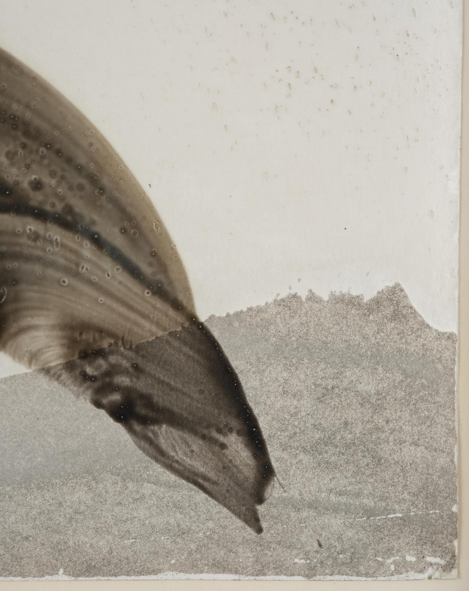 James Nares, "Untitled #1", 1993.