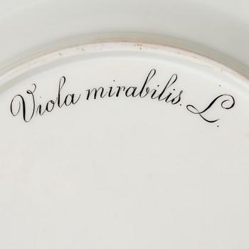 Gallerkorg med fat, porslin. 'Flora Danica', Royal Copenhagen, Denmark, 1900-tal.
