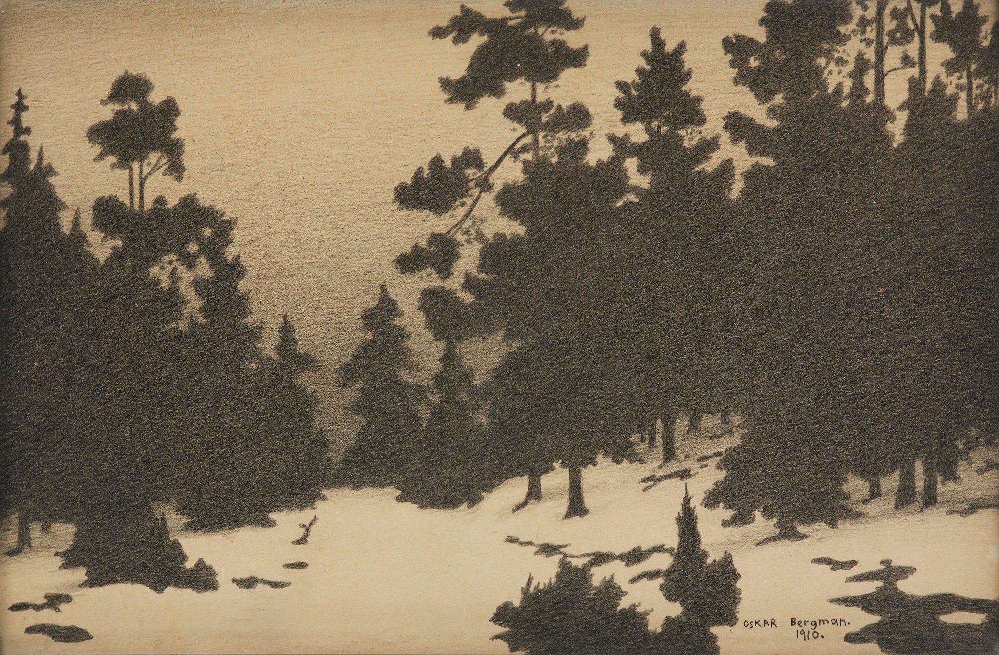 Oskar Bergman, Winter in the archipelago.