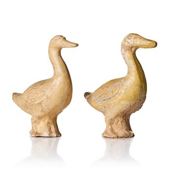 972. A pair of pottery figures of ducks, Tang dynasty (618-907).