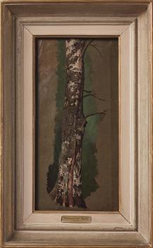 Ferdinand von Wright, Study of a Birch tree; pencilstudies of tree trunks (verso).