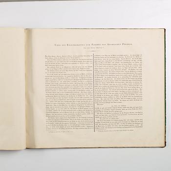 BOK: Rudolf Kuntz: Abbildungen Königlich Württembergischer Gestütts Pferde 
von orientalischen Racen. [1-3].