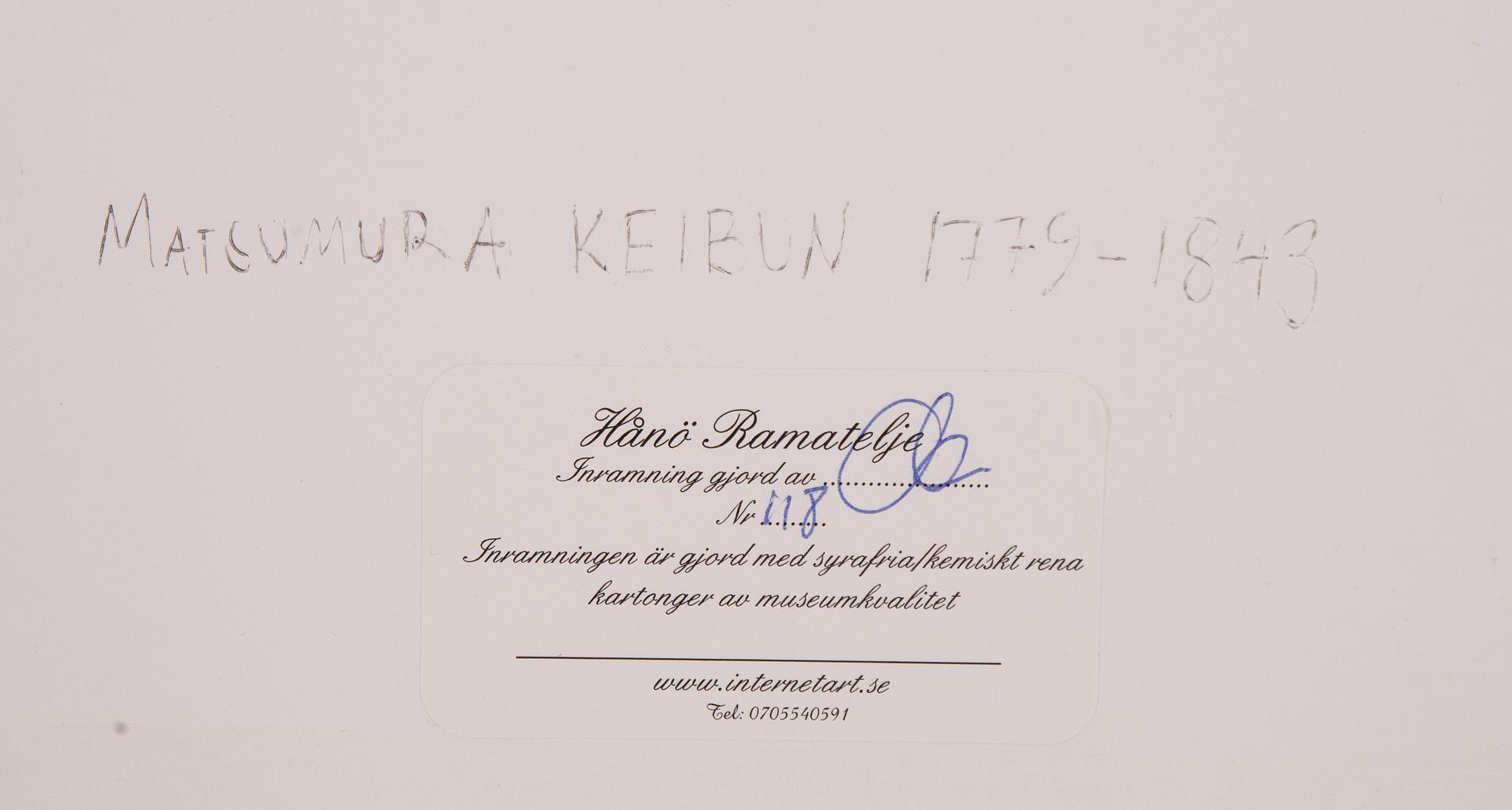 Matsumura Keibun, after, Ducks and dragonfly by the riverbank, first part of the 20th century.