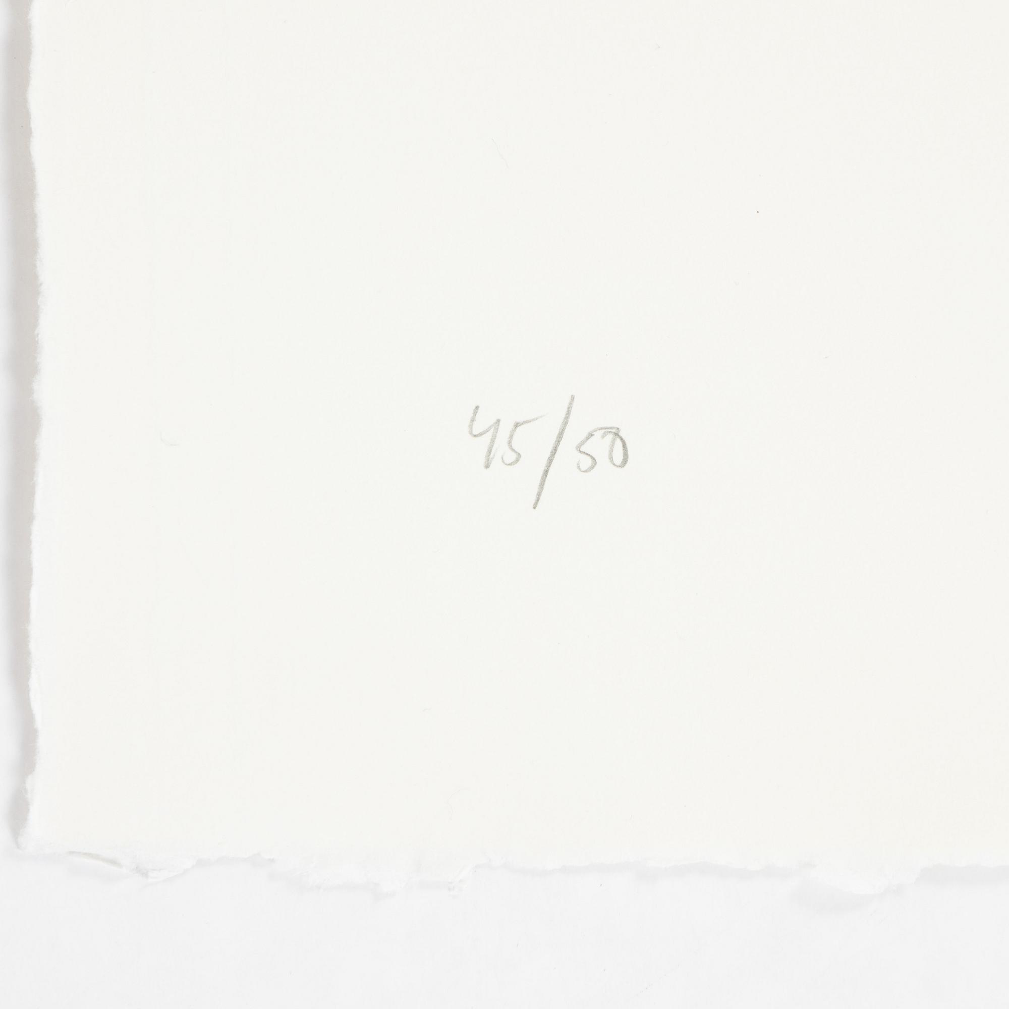 Jan Håfström, etching in colours, 2020, signed 45/50.