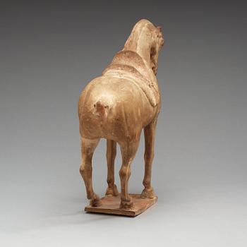 A pottery figure of a horze, Tang dynasty (618-907).