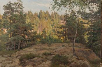 Berndt Lindholm, Forest view.