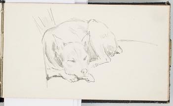 ROBERT THEGERSTRÖM, skissbok med 65 blad. Signerad och daterad 15/6 1894.