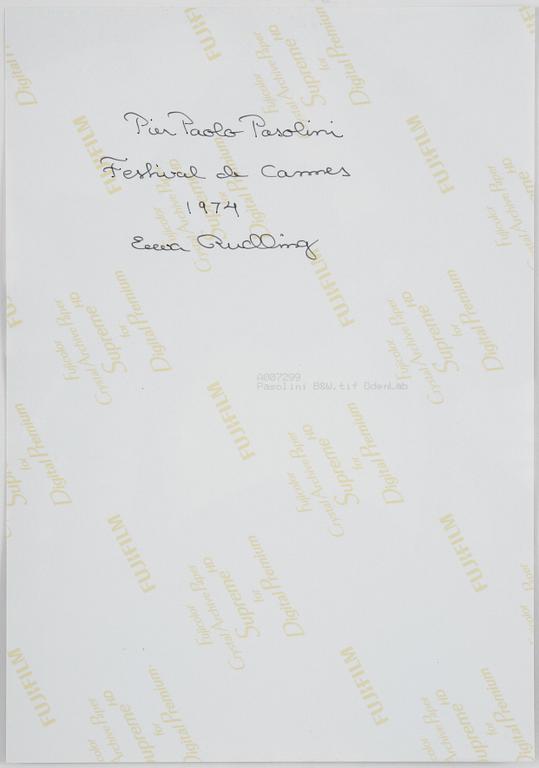 Ewa Rudling, "Pier Paolo Pasolini Festival de Cannes".